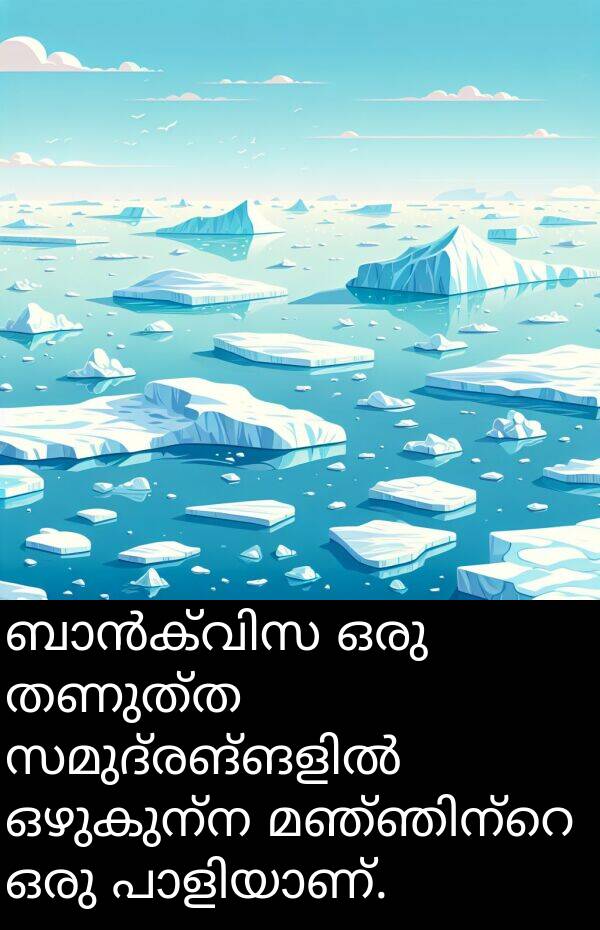 ഒഴുകുന്ന: ബാൻക്വിസ ഒരു തണുത്ത സമുദ്രങ്ങളിൽ ഒഴുകുന്ന മഞ്ഞിന്റെ ഒരു പാളിയാണ്.