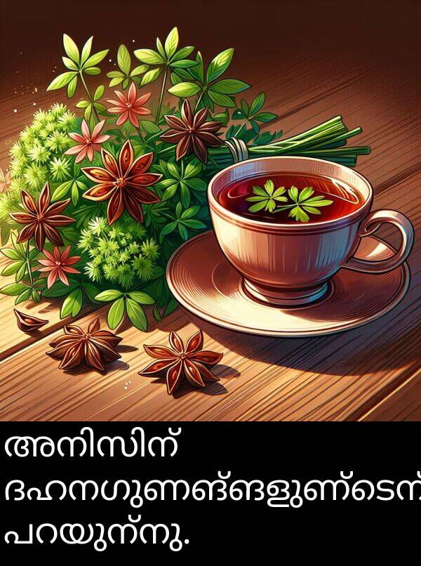 ദഹനഗുണങ്ങളുണ്ടെന്ന്: അനിസിന് ദഹനഗുണങ്ങളുണ്ടെന്ന് പറയുന്നു.