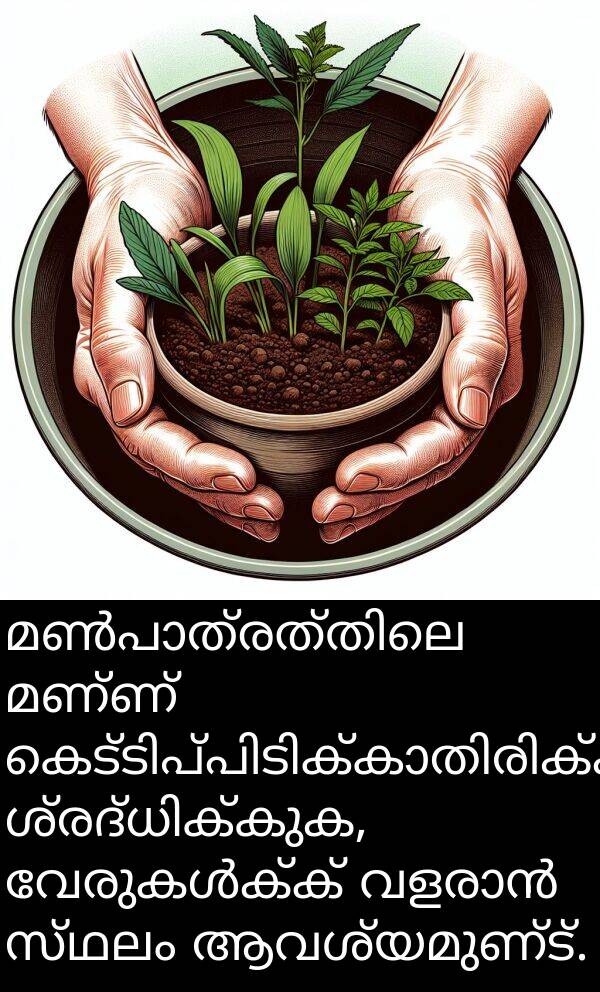 മണ്ണ്: മൺപാത്രത്തിലെ മണ്ണ് കെട്ടിപ്പിടിക്കാതിരിക്കാൻ ശ്രദ്ധിക്കുക, വേരുകൾക്ക് വളരാൻ സ്ഥലം ആവശ്യമുണ്ട്.