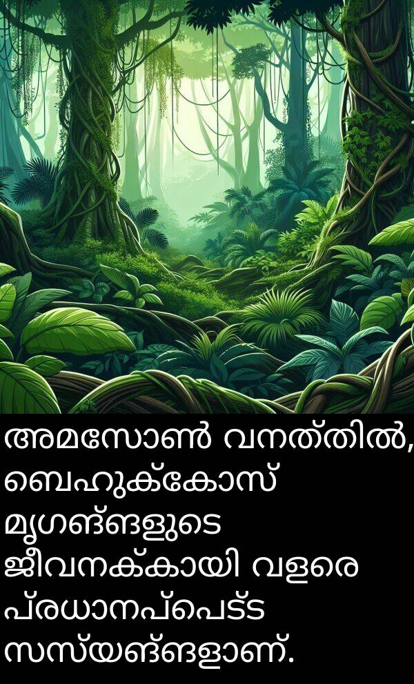 ബെഹുക്കോസ്: അമസോൺ വനത്തിൽ, ബെഹുക്കോസ് മൃഗങ്ങളുടെ ജീവനക്കായി വളരെ പ്രധാനപ്പെട്ട സസ്യങ്ങളാണ്.