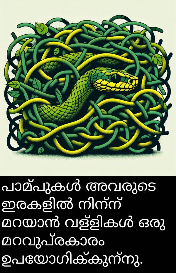 അവരുടെ: പാമ്പുകൾ അവരുടെ ഇരകളിൽ നിന്ന് മറയാൻ വള്ളികൾ ഒരു മറവുപ്രകാരം ഉപയോഗിക്കുന്നു.