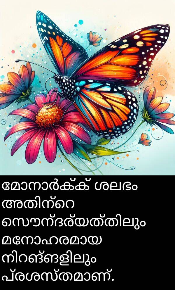 ശലഭം: മോനാർക്ക് ശലഭം അതിന്റെ സൌന്ദര്യത്തിലും മനോഹരമായ നിറങ്ങളിലും പ്രശസ്തമാണ്.