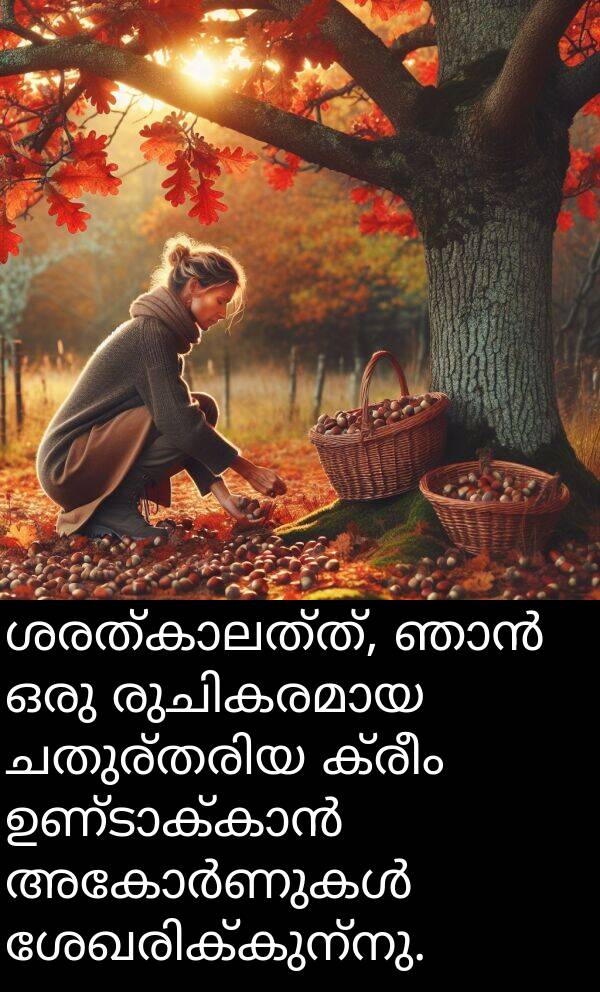 ക്രീം: ശരത്കാലത്ത്, ഞാൻ ഒരു രുചികരമായ ചതുര്‍തരിയ ക്രീം ഉണ്ടാക്കാൻ അകോർണുകൾ ശേഖരിക്കുന്നു.