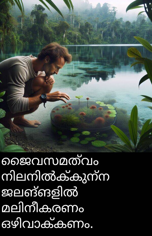 ജൈവസമത്വം: ജൈവസമത്വം നിലനിൽക്കുന്ന ജലങ്ങളിൽ മലിനീകരണം ഒഴിവാക്കണം.