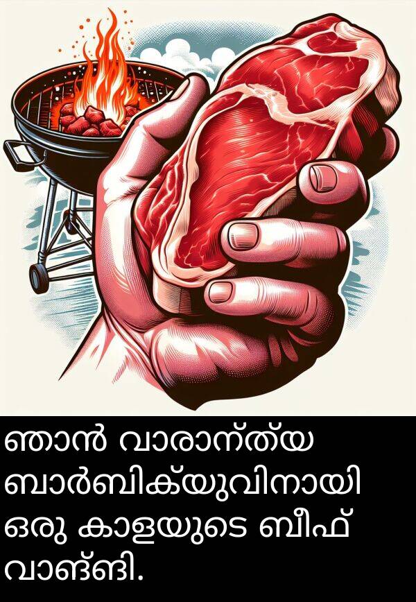 ബീഫ്: ഞാൻ വാരാന്ത്യ ബാർബിക്യുവിനായി ഒരു കാളയുടെ ബീഫ് വാങ്ങി.