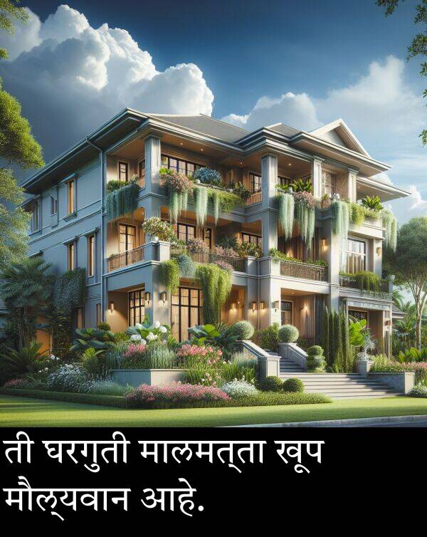 घरगुती: ती घरगुती मालमत्ता खूप मौल्यवान आहे.
