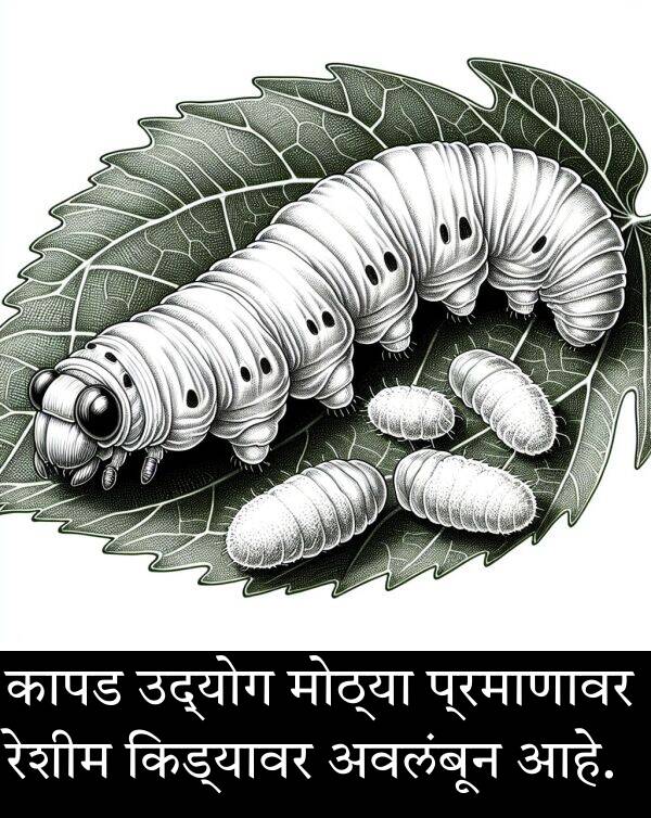 उद्योग: कापड उद्योग मोठ्या प्रमाणावर रेशीम किड्यावर अवलंबून आहे.