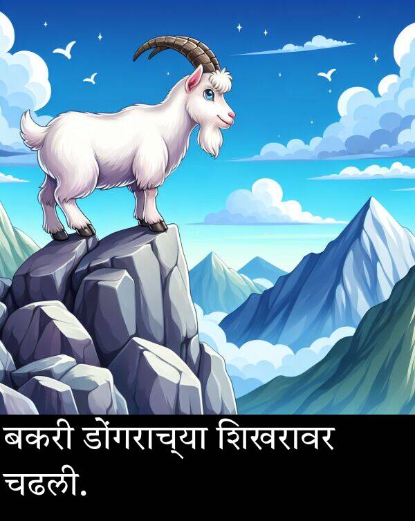 शिखरावर: बकरी डोंगराच्या शिखरावर चढली.