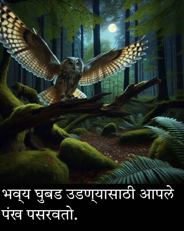 घुबड: भव्य घुबड उडण्यासाठी आपले पंख पसरवतो.