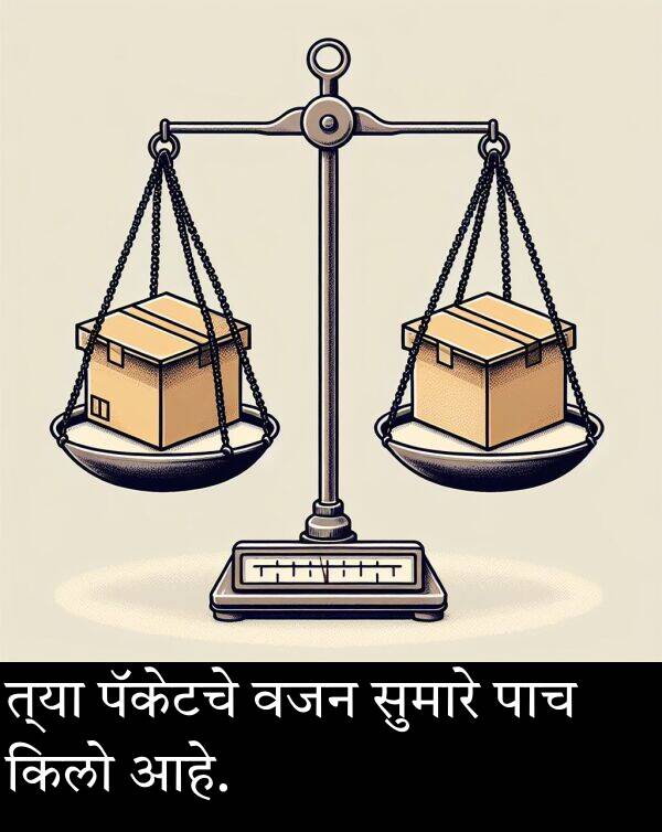 वजन: त्या पॅकेटचे वजन सुमारे पाच किलो आहे.