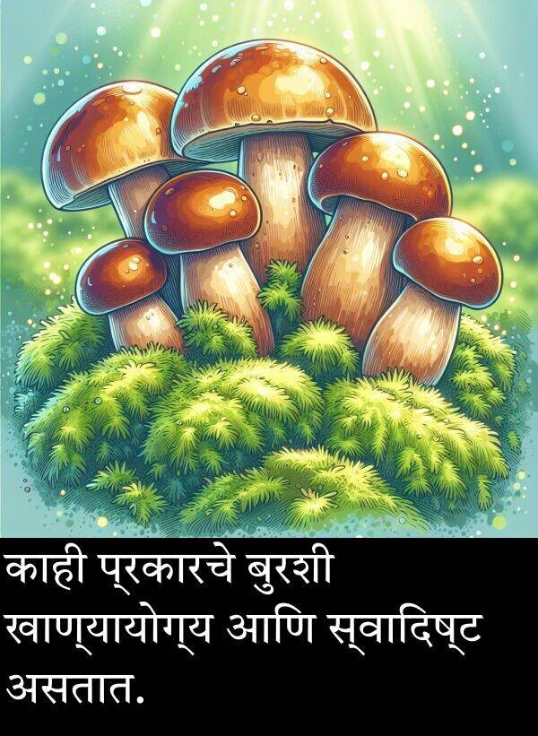 असतात: काही प्रकारचे बुरशी खाण्यायोग्य आणि स्वादिष्ट असतात.