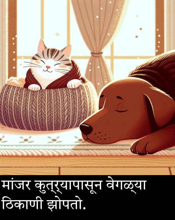 झोपतो: मांजर कुत्र्यापासून वेगळ्या ठिकाणी झोपतो.