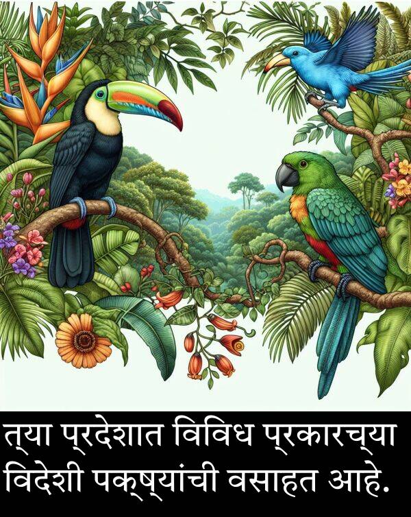 त्या: त्या प्रदेशात विविध प्रकारच्या विदेशी पक्ष्यांची वसाहत आहे.