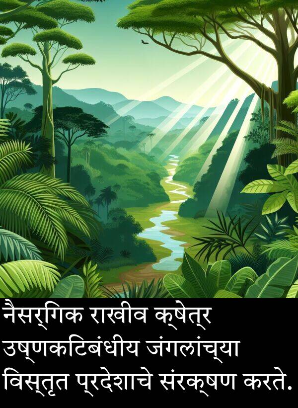 राखीव: नैसर्गिक राखीव क्षेत्र उष्णकटिबंधीय जंगलांच्या विस्तृत प्रदेशाचे संरक्षण करते.