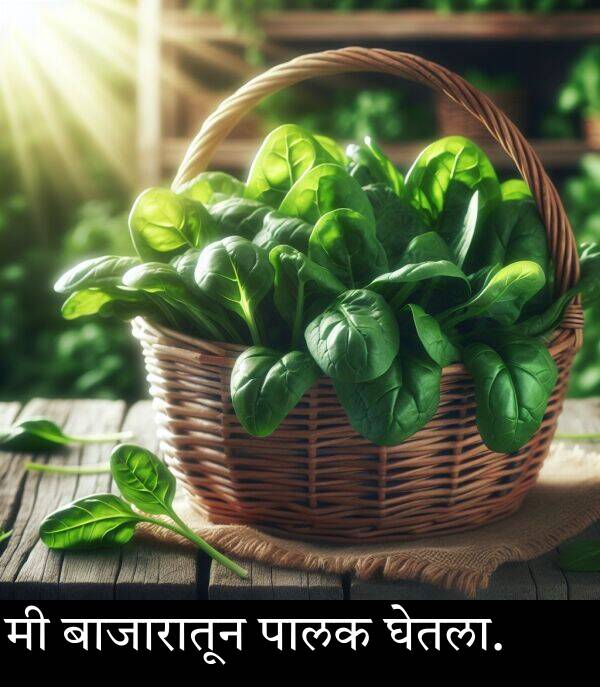 बाजारातून: मी बाजारातून पालक घेतला.