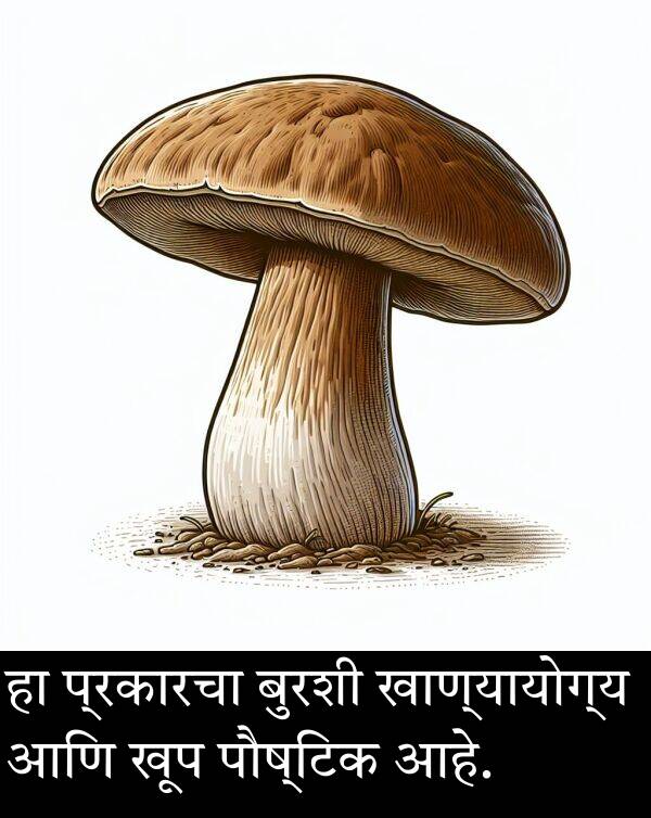 बुरशी: हा प्रकारचा बुरशी खाण्यायोग्य आणि खूप पौष्टिक आहे.
