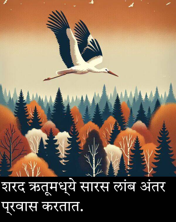 शरद: शरद ऋतूमध्ये सारस लांब अंतर प्रवास करतात.