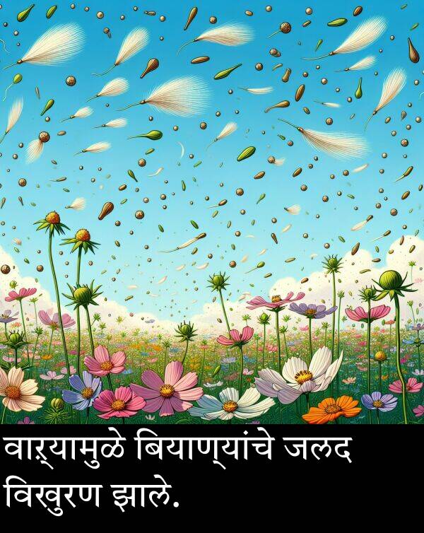 जलद: वाऱ्यामुळे बियाण्यांचे जलद विखुरण झाले.