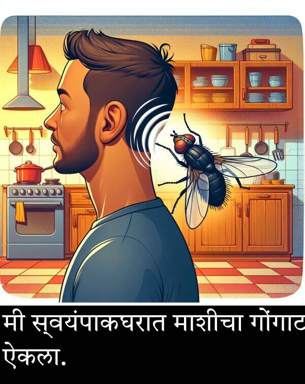 माशीचा: मी स्वयंपाकघरात माशीचा गोंगाट ऐकला.