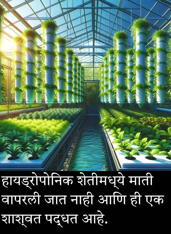 शाश्वत: हायड्रोपोनिक शेतीमध्ये माती वापरली जात नाही आणि ही एक शाश्वत पद्धत आहे.