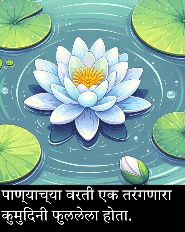 वरती: पाण्याच्या वरती एक तरंगणारा कुमुदिनी फुललेला होता.