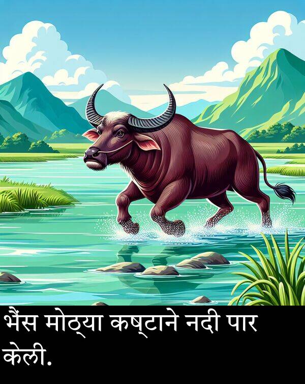 नदी: भैंस मोठ्या कष्टाने नदी पार केली.