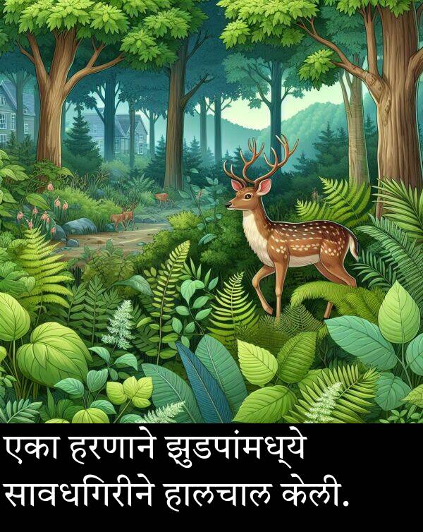एका: एका हरणाने झुडपांमध्ये सावधगिरीने हालचाल केली.