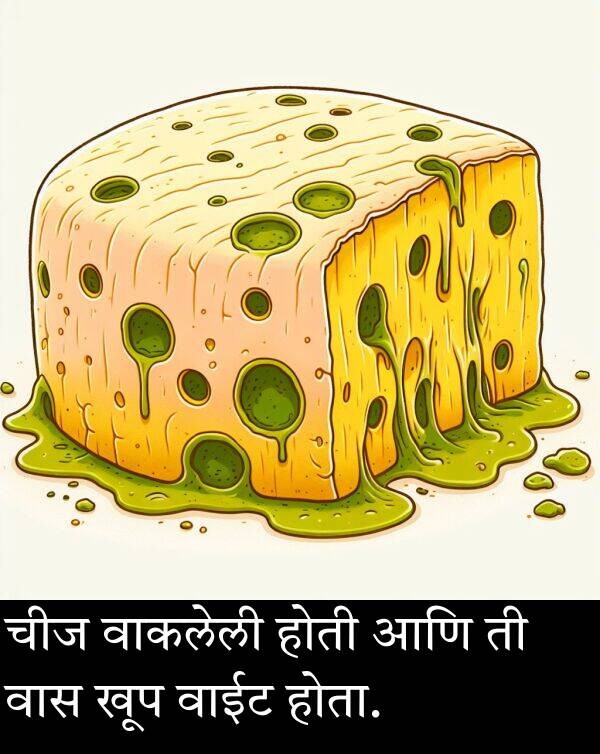 वाकलेली: चीज वाकलेली होती आणि ती वास खूप वाईट होता.