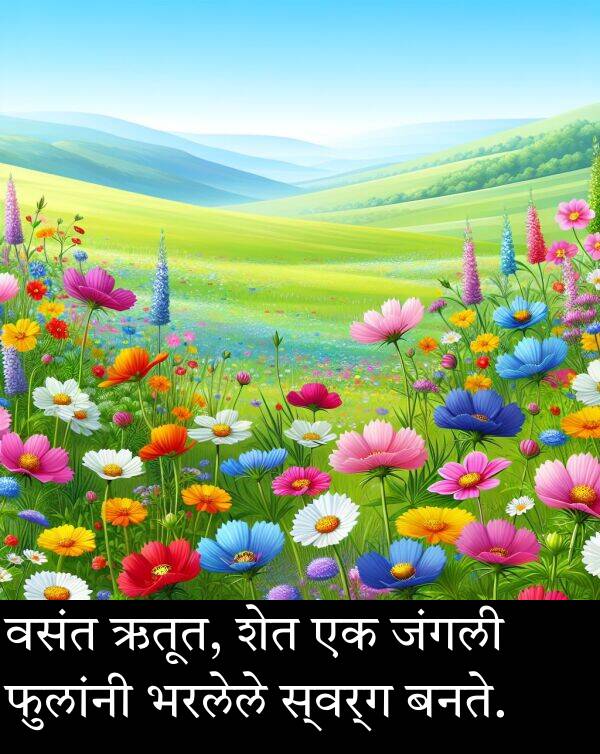 ऋतूत: वसंत ऋतूत, शेत एक जंगली फुलांनी भरलेले स्वर्ग बनते.