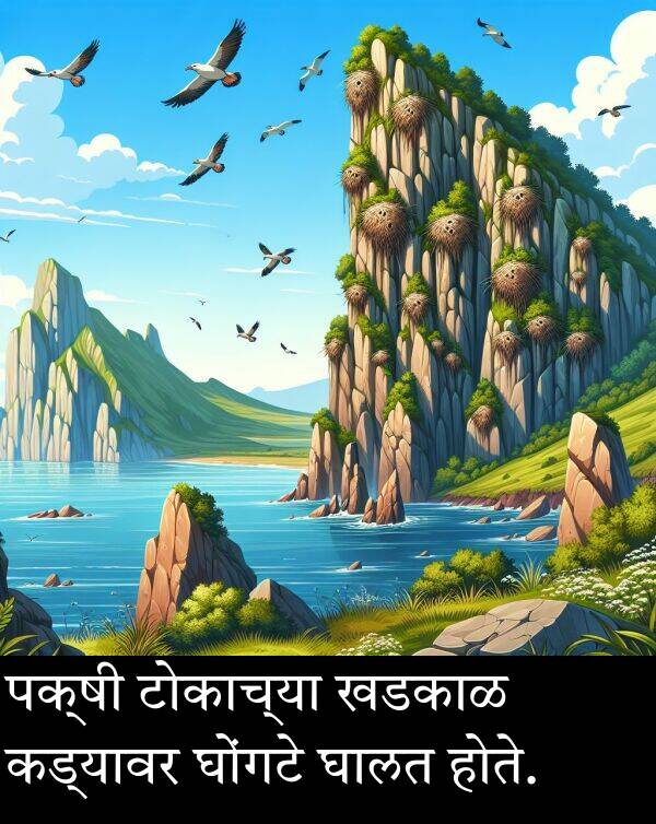 घोंगटे: पक्षी टोकाच्या खडकाळ कड्यावर घोंगटे घालत होते.