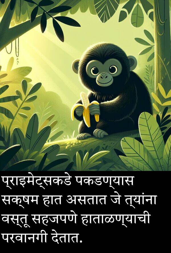 वस्तू: प्राइमेट्सकडे पकडण्यास सक्षम हात असतात जे त्यांना वस्तू सहजपणे हाताळण्याची परवानगी देतात.