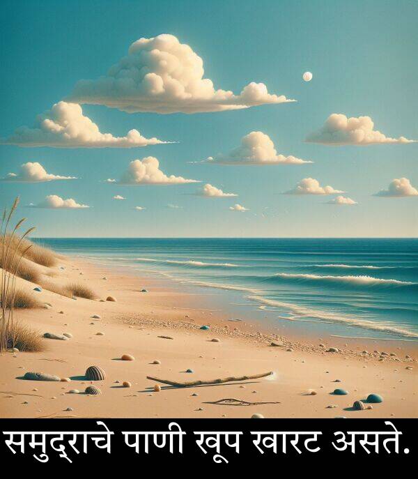खारट: समुद्राचे पाणी खूप खारट असते.
