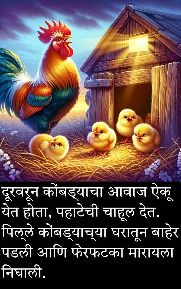 दूरवरून: दूरवरून कोंबड्याचा आवाज ऐकू येत होता, पहाटेची चाहूल देत. पिल्ले कोंबड्याच्या घरातून बाहेर पडली आणि फेरफटका मारायला निघाली.