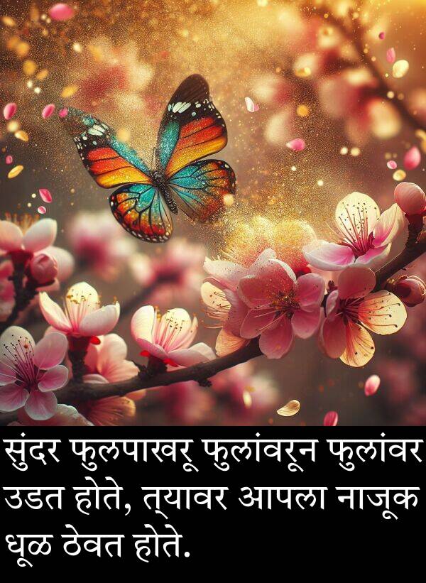 उडत: सुंदर फुलपाखरू फुलांवरून फुलांवर उडत होते, त्यावर आपला नाजूक धूळ ठेवत होते.