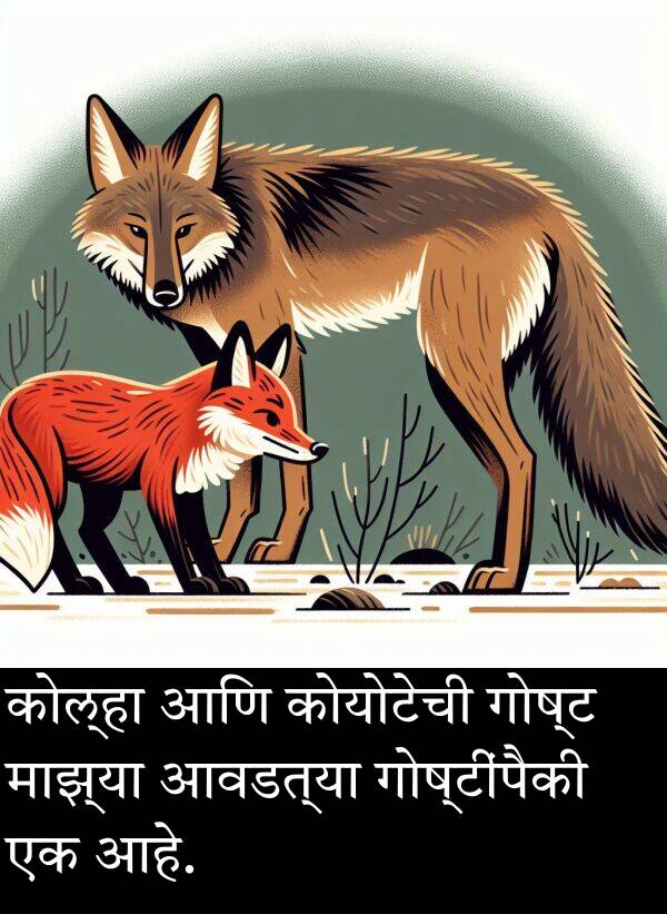 कोयोटेची: कोल्हा आणि कोयोटेची गोष्ट माझ्या आवडत्या गोष्टींपैकी एक आहे.
