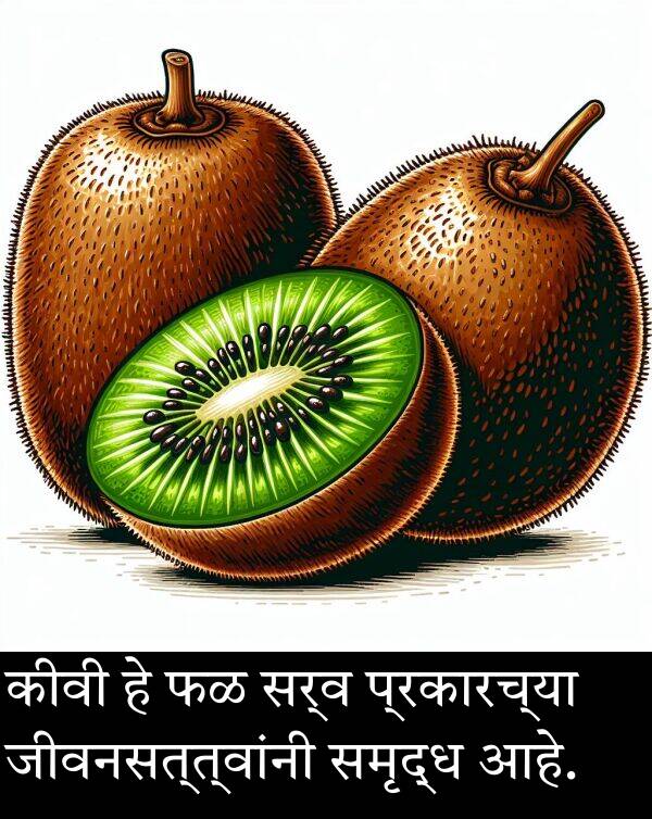 कीवी: कीवी हे फळ सर्व प्रकारच्या जीवनसत्त्वांनी समृद्ध आहे.