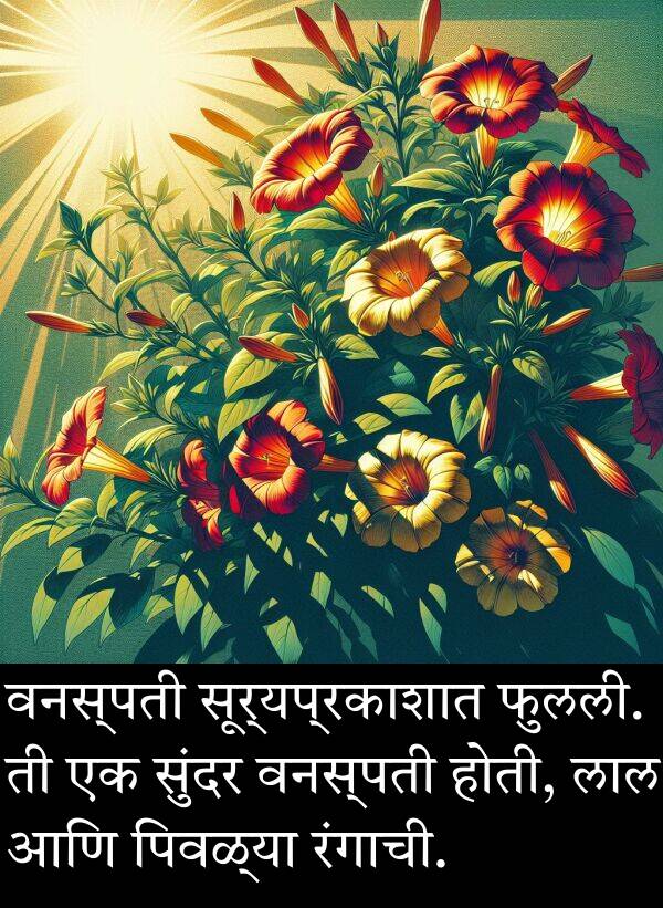 वनस्पती: वनस्पती सूर्यप्रकाशात फुलली. ती एक सुंदर वनस्पती होती, लाल आणि पिवळ्या रंगाची.