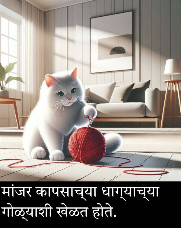 खेळत: मांजर कापसाच्या धाग्याच्या गोळ्याशी खेळत होते.