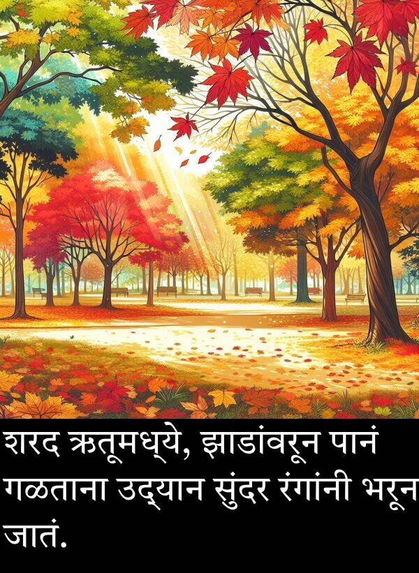 शरद: शरद ऋतूमध्ये, झाडांवरून पानं गळताना उद्यान सुंदर रंगांनी भरून जातं.