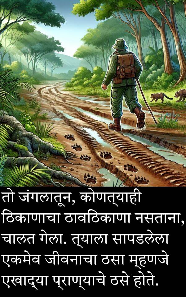 ठावठिकाणा: तो जंगलातून, कोणत्याही ठिकाणाचा ठावठिकाणा नसताना, चालत गेला. त्याला सापडलेला एकमेव जीवनाचा ठसा म्हणजे एखाद्या प्राण्याचे ठसे होते.