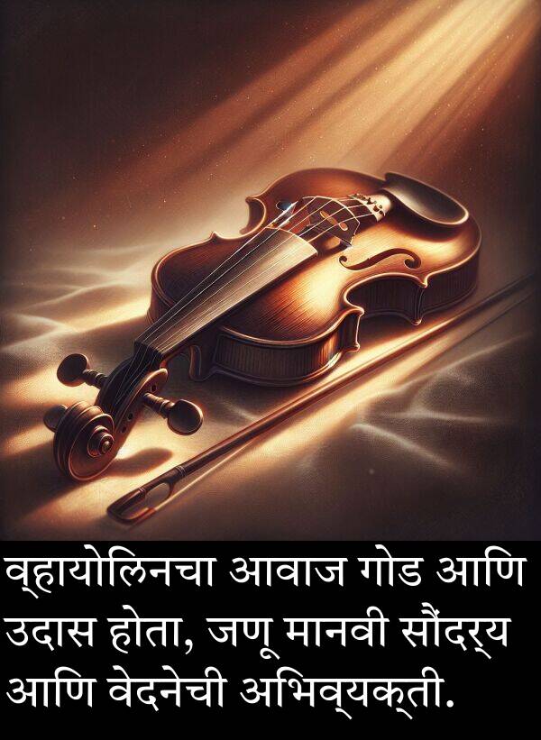 उदास: व्हायोलिनचा आवाज गोड आणि उदास होता, जणू मानवी सौंदर्य आणि वेदनेची अभिव्यक्ती.