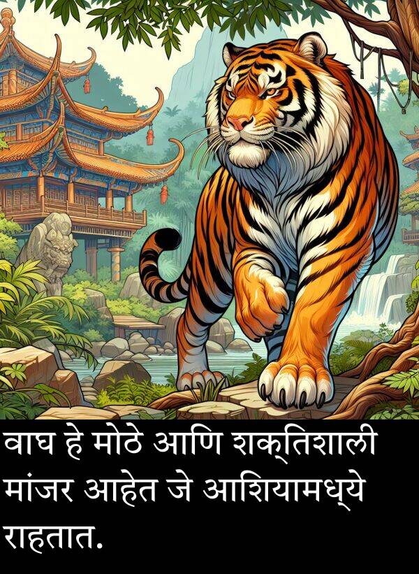 वाघ: वाघ हे मोठे आणि शक्तिशाली मांजर आहेत जे आशियामध्ये राहतात.