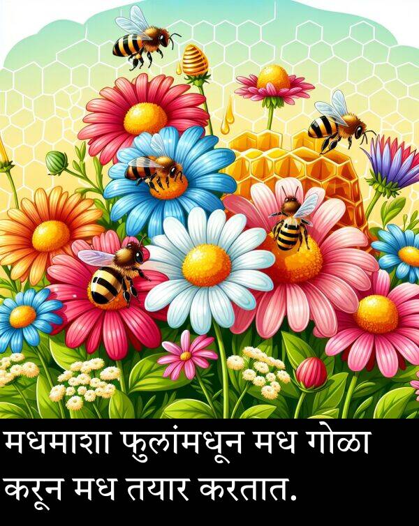 तयार: मधमाशा फुलांमधून मध गोळा करून मध तयार करतात.