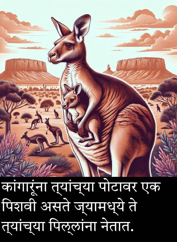 नेतात: कांगारूंना त्यांच्या पोटावर एक पिशवी असते ज्यामध्ये ते त्यांच्या पिल्लांना नेतात.