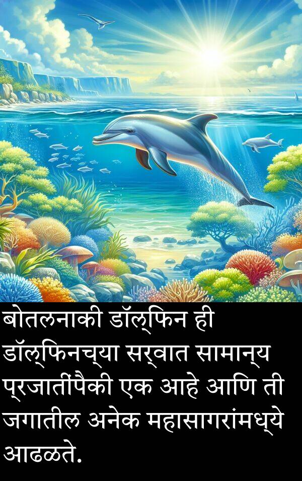 महासागरांमध्ये: बोतलनाकी डॉल्फिन ही डॉल्फिनच्या सर्वात सामान्य प्रजातींपैकी एक आहे आणि ती जगातील अनेक महासागरांमध्ये आढळते.