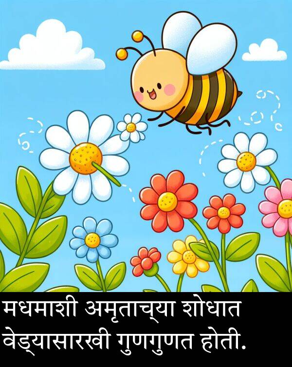 मधमाशी: मधमाशी अमृताच्या शोधात वेड्यासारखी गुणगुणत होती.