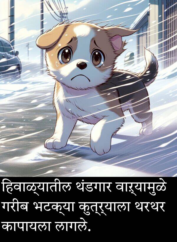 थंडगार: हिवाळ्यातील थंडगार वाऱ्यामुळे गरीब भटक्या कुत्र्याला थरथर कापायला लागले.