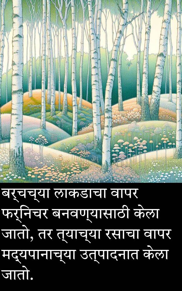 लाकडाचा: बर्चच्या लाकडाचा वापर फर्निचर बनवण्यासाठी केला जातो, तर त्याच्या रसाचा वापर मद्यपानाच्या उत्पादनात केला जातो.