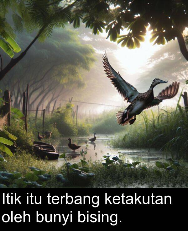 oleh: Itik itu terbang ketakutan oleh bunyi bising.