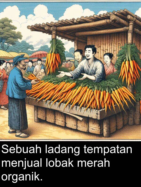 merah: Sebuah ladang tempatan menjual lobak merah organik.